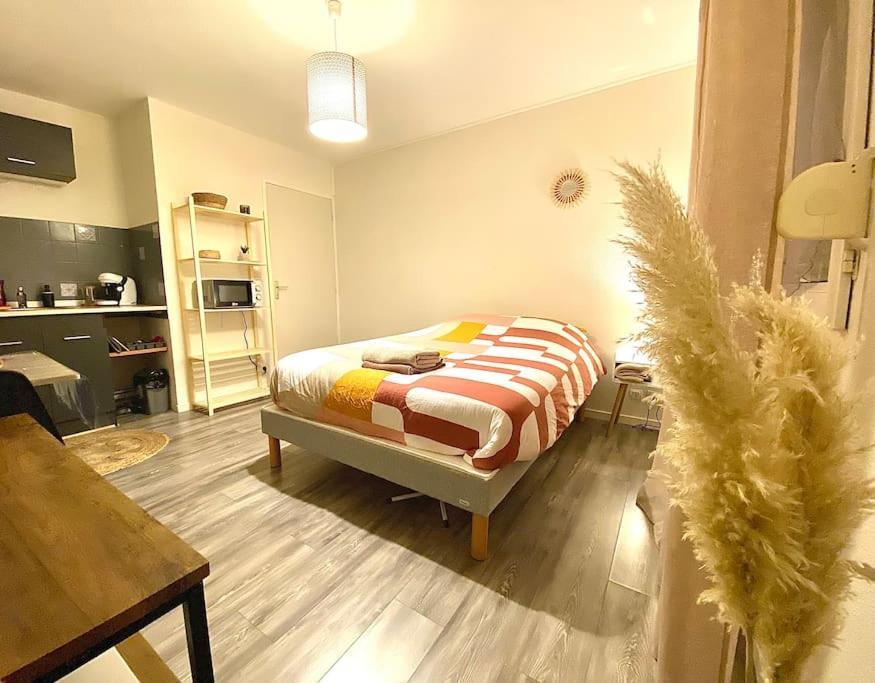 Au Calme Confort & Proche Centre Apartment Le Mans Bagian luar foto